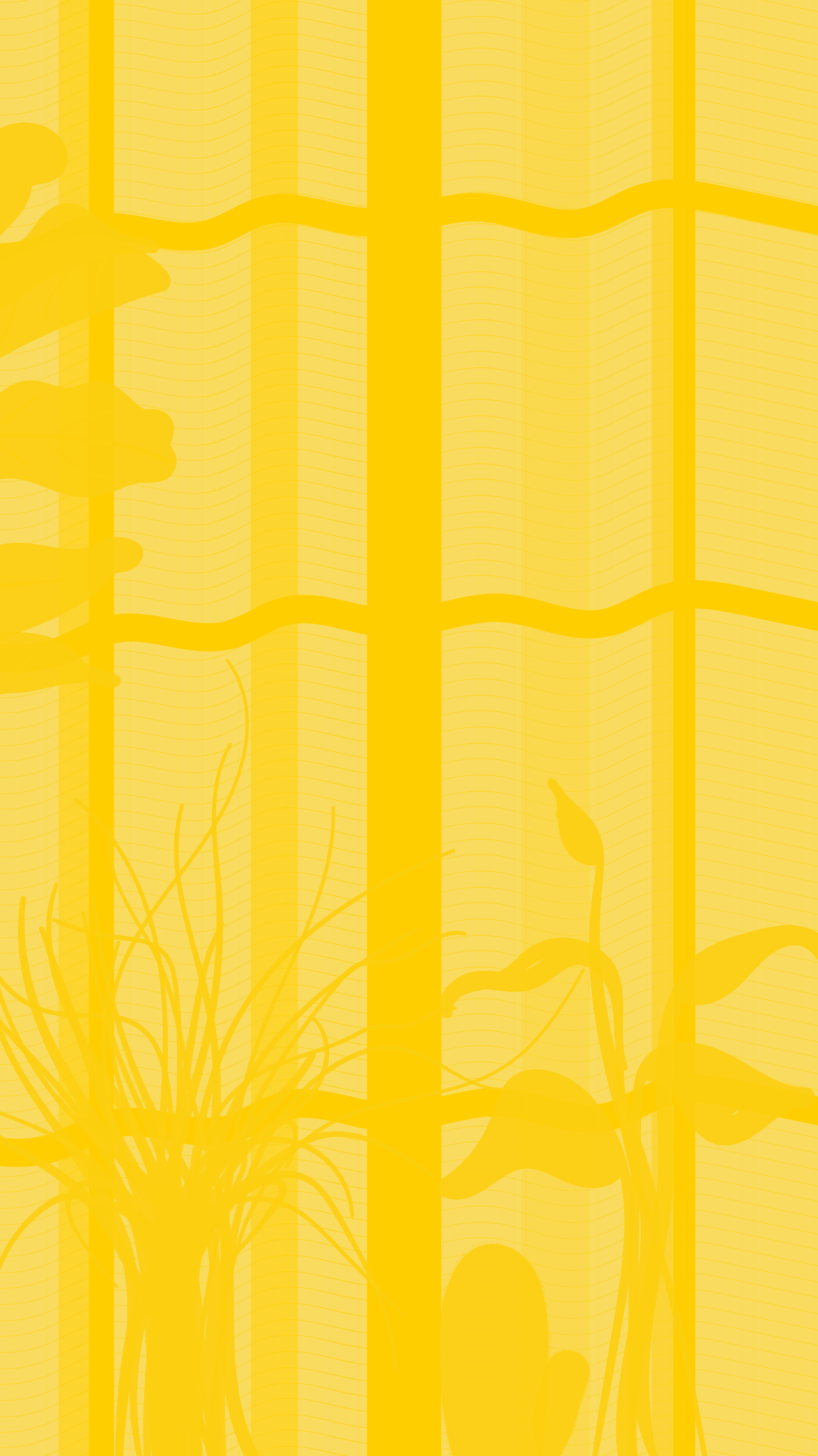 shadow curtains-01.png