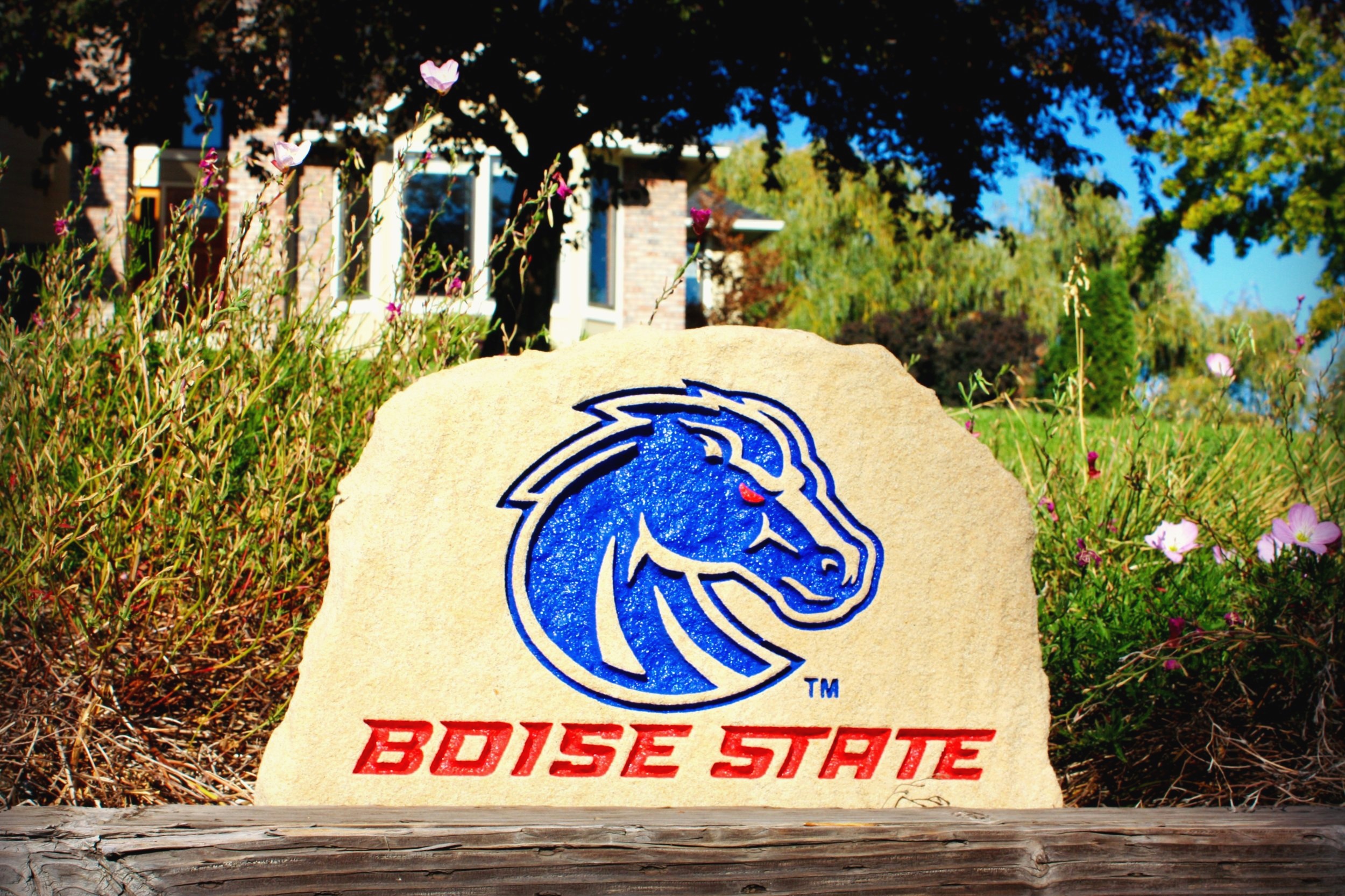 Boise State University FanRock