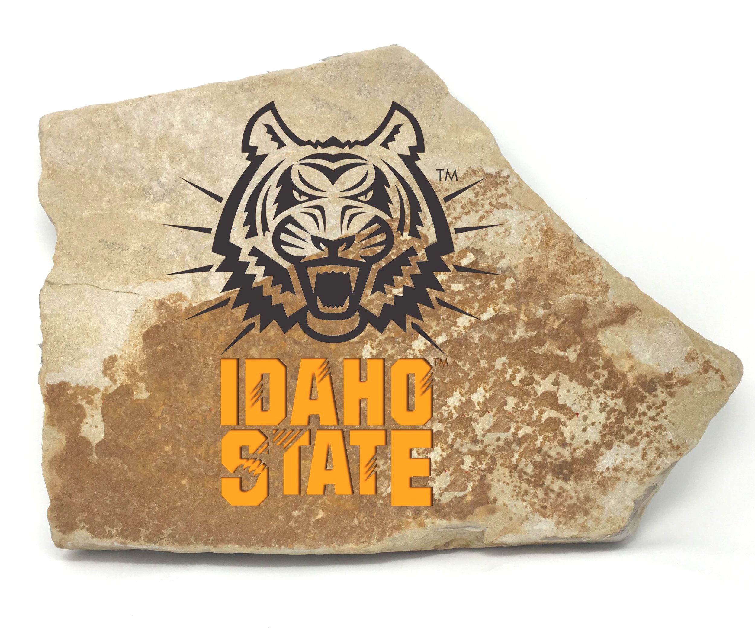 Idaho State University FanRock