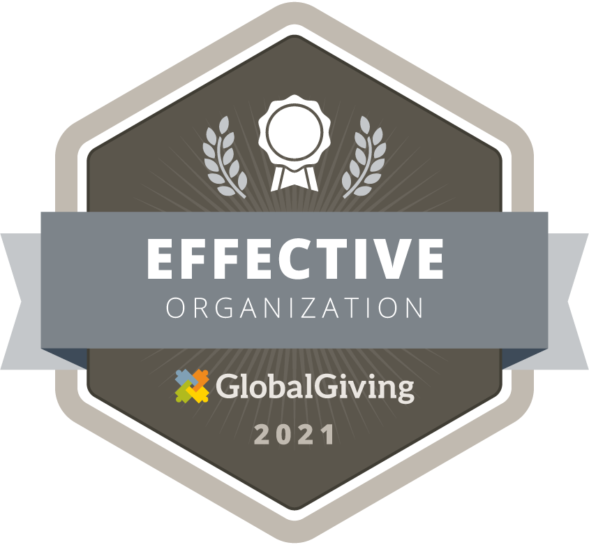effectivenonprofit_large__1_.png