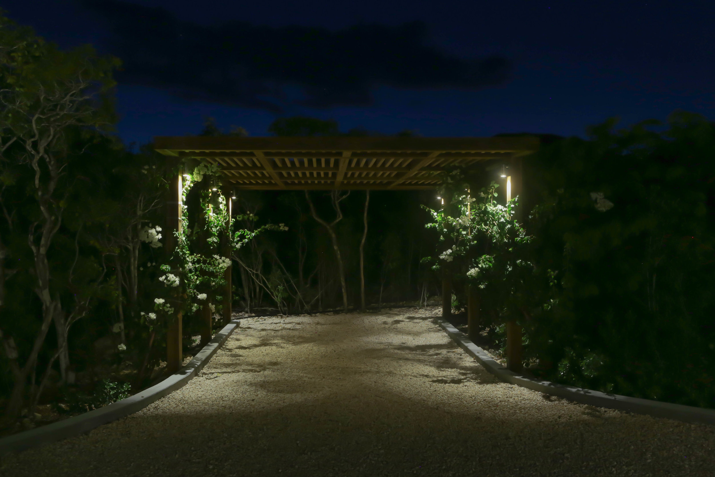 Subtley Illuminated Parking Pergola