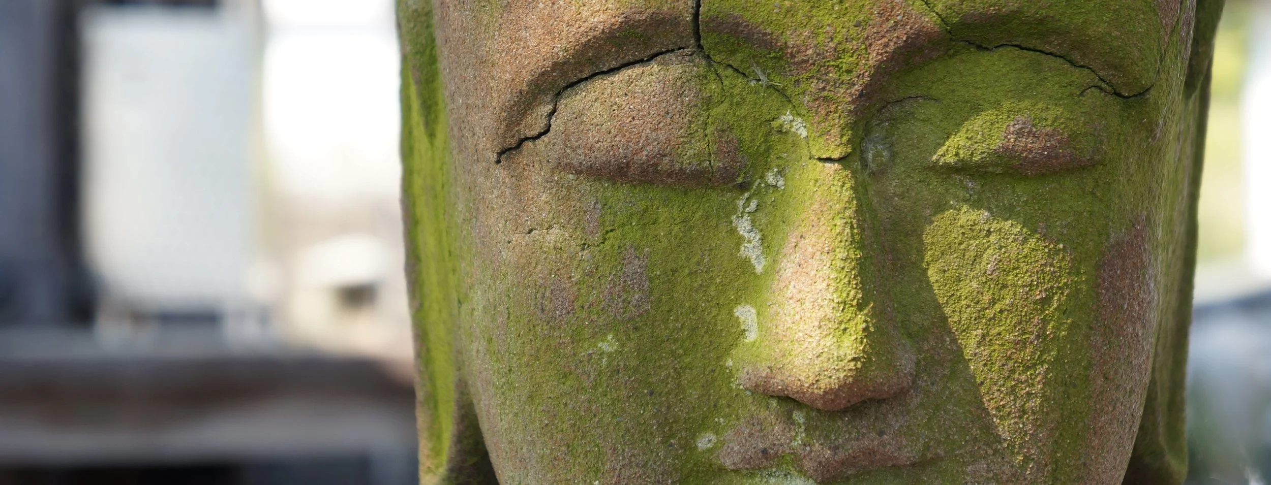 DSC04480 - Version 3.JPG