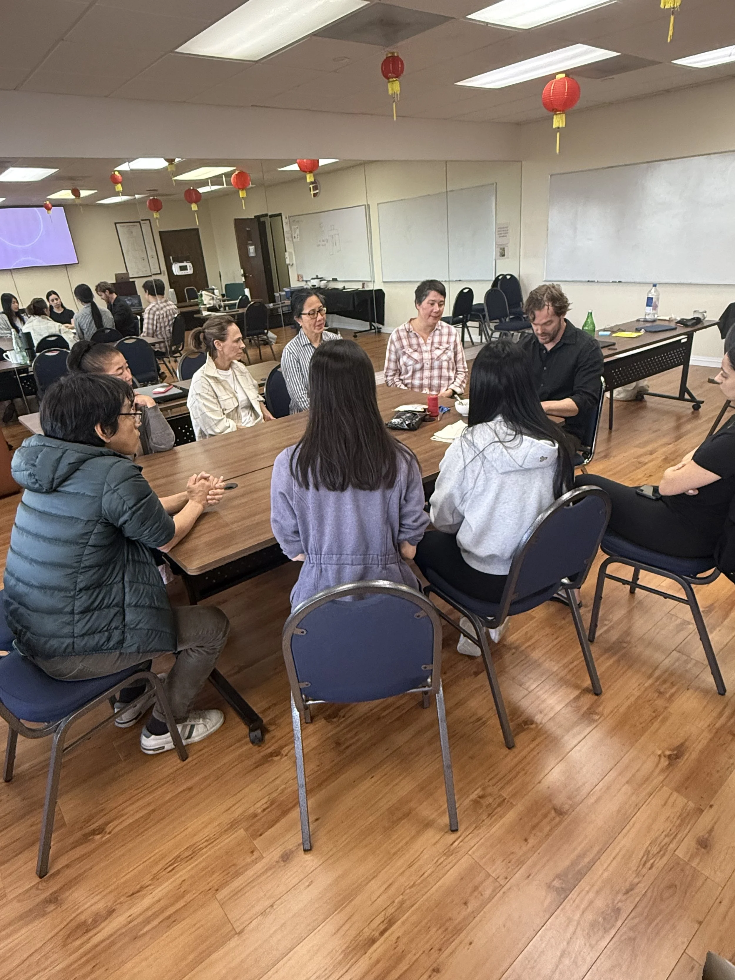 Tibetan Medicine Teachings