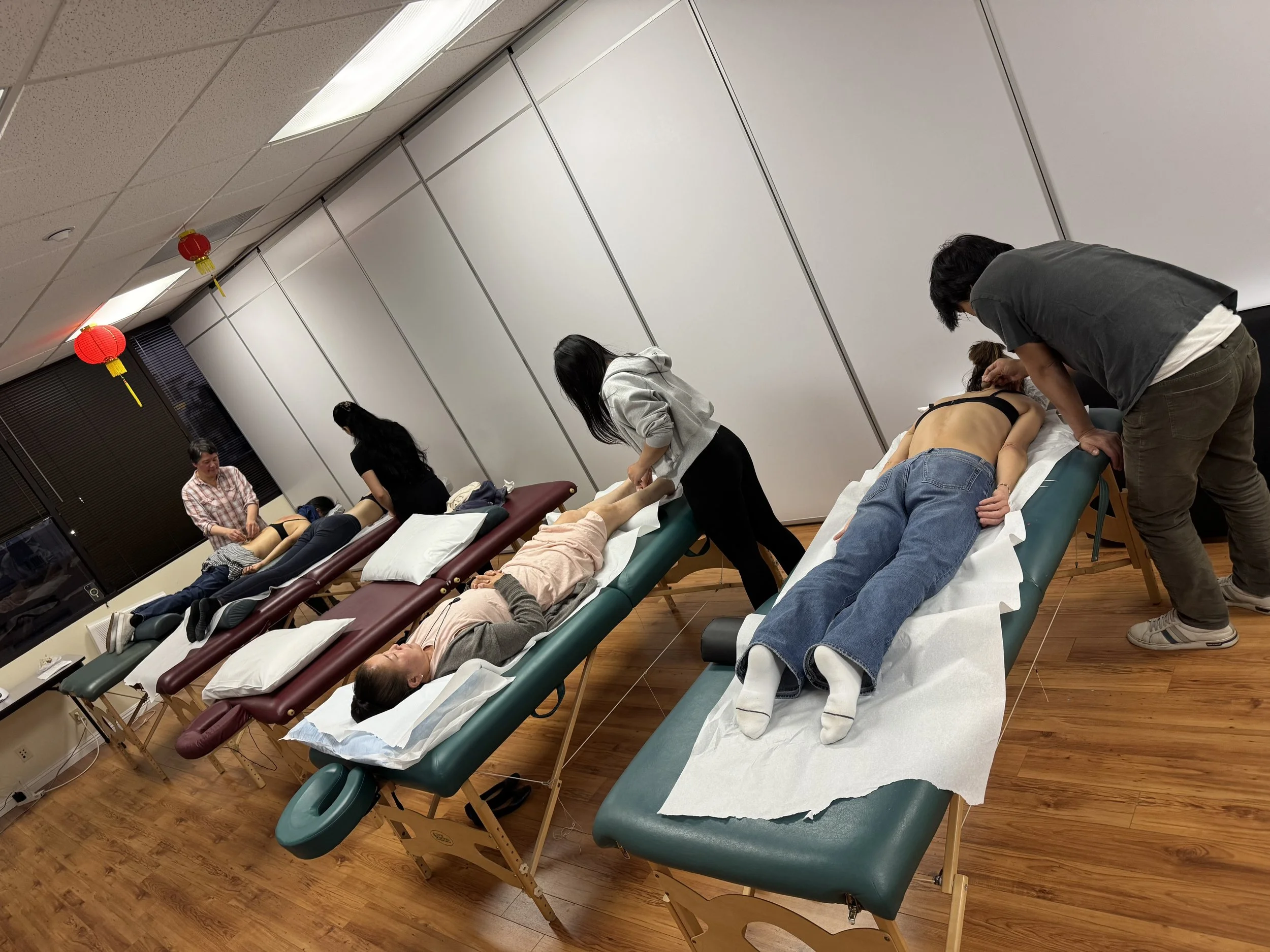 Tibetan Medicine Teachings