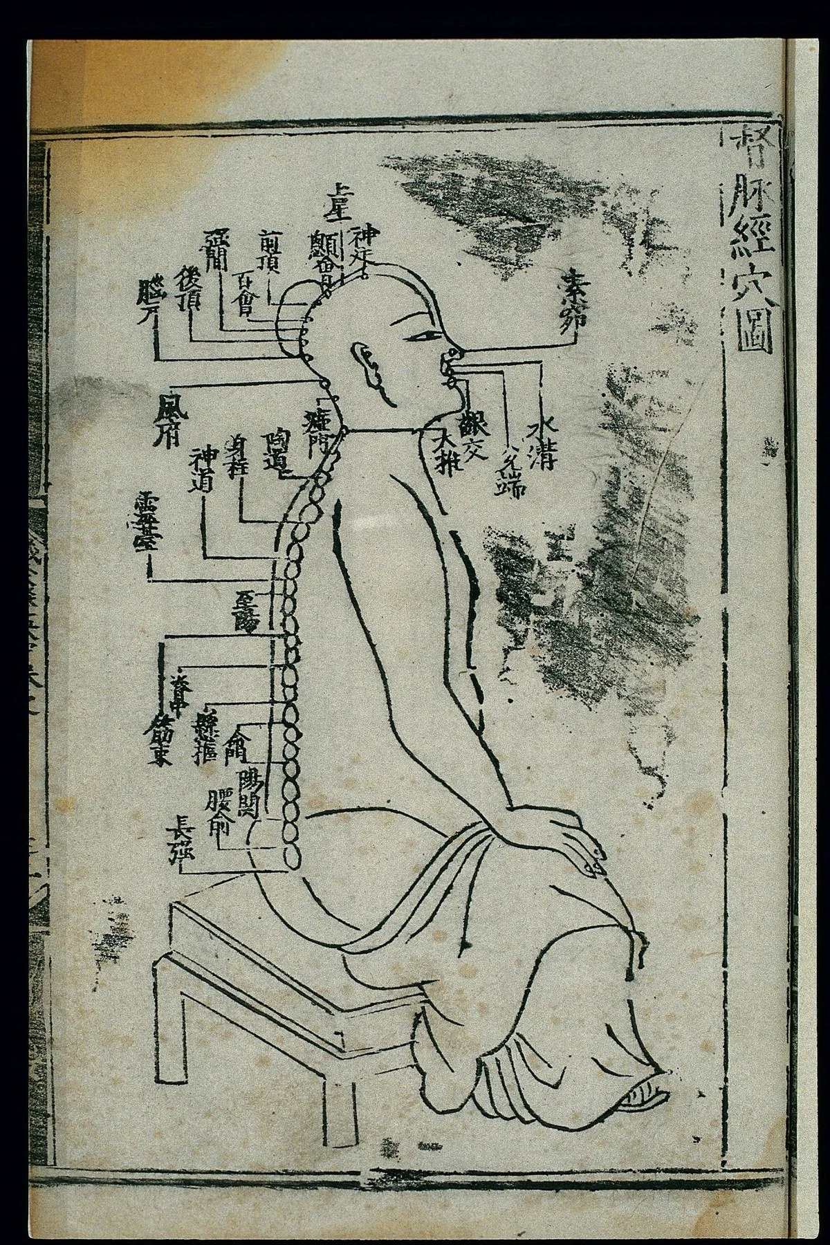 Historic Ming dynasty acupuncture chart of the Du Mai Governor Vessel, showing acupuncture points along the back and head, 1537.