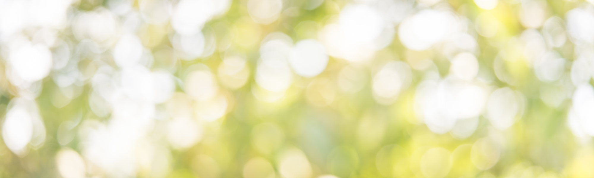 Magical Herbal Ally for Spring: Cinnamon!