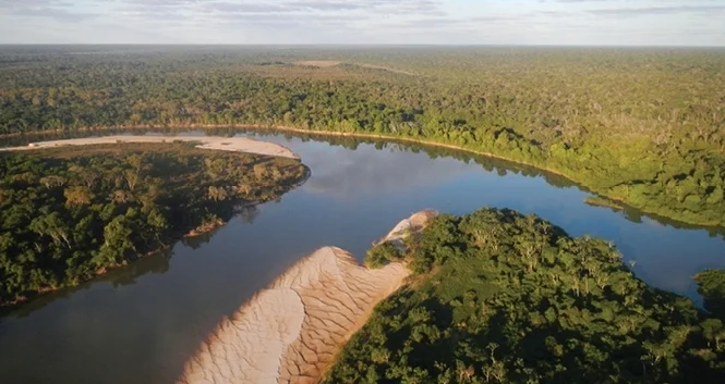 The Center for Latin American Studies presents the IIIC in Brazil: Tackling Deforestation in the Amazon