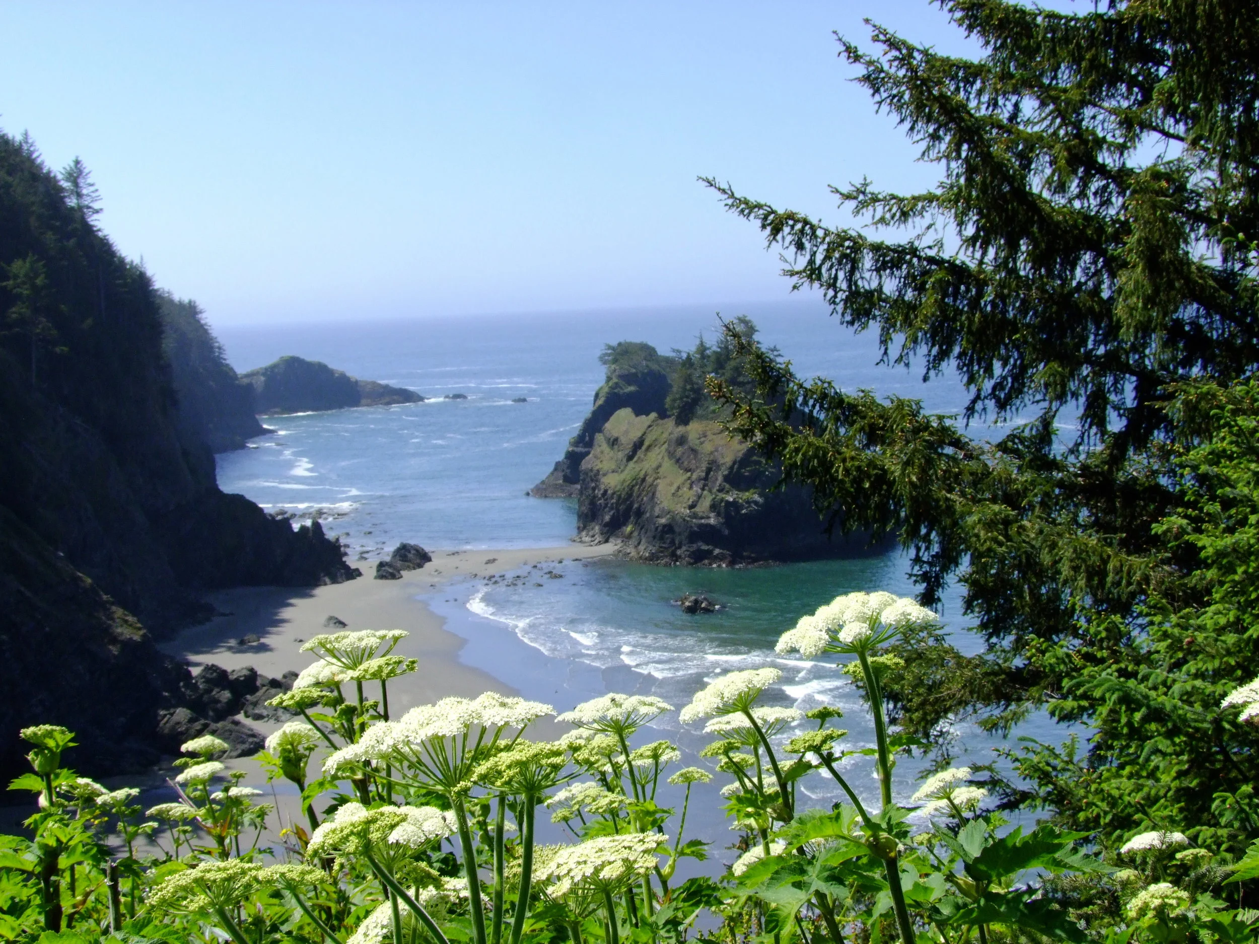 2009_0517OregonCoast0120.JPG