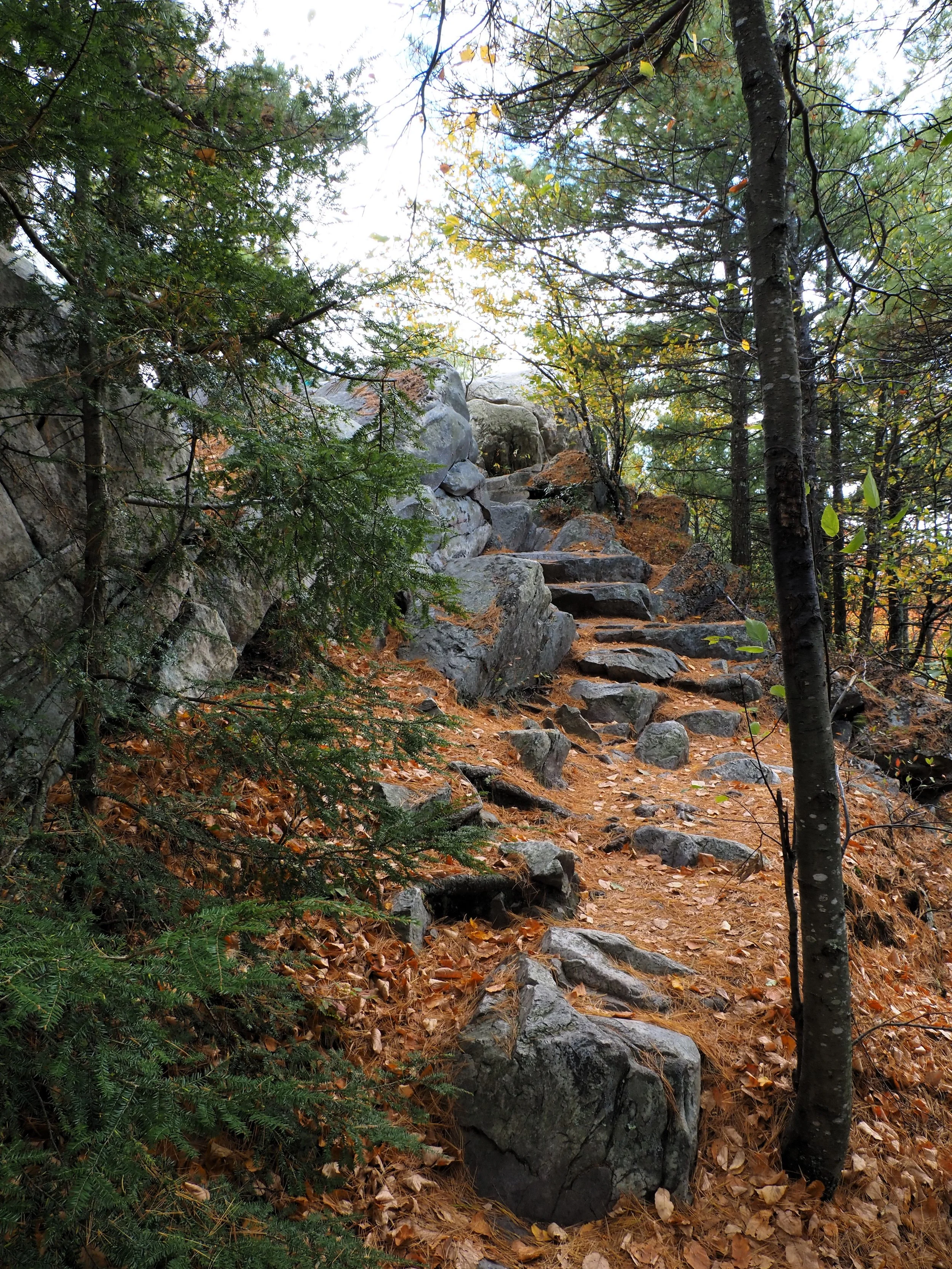 PA080107.JPG