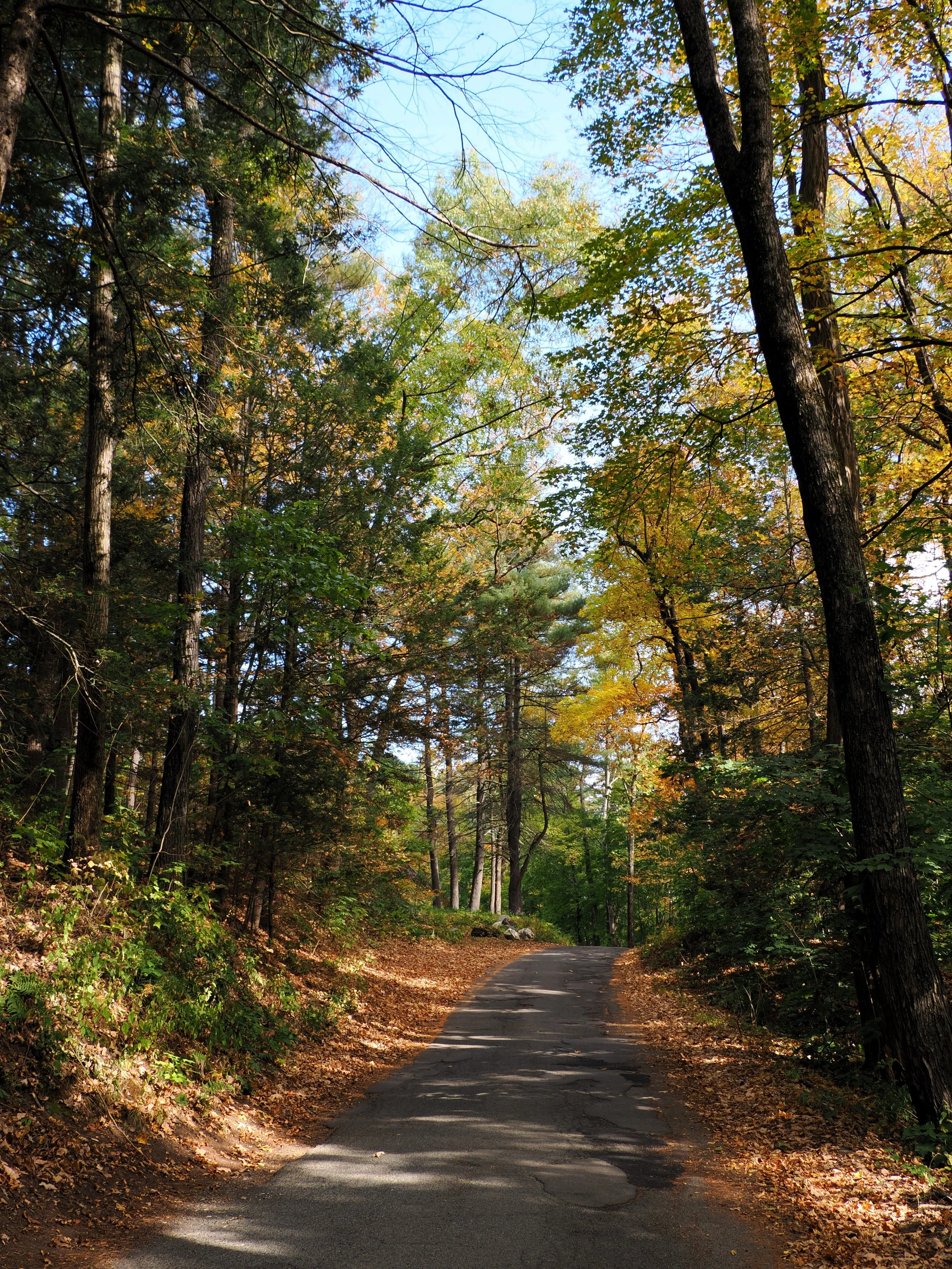PA090436.JPG