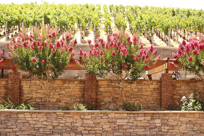 The Meritage Resort and Spa review featured by top US life and style blog, Live Love Blank.