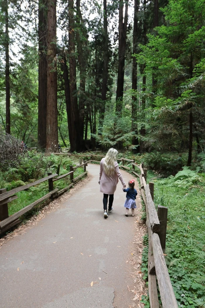 Live Love Blank Recap of 2017 as a Family