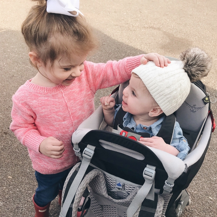 Live Love Blank Recap of 2017 as a Family