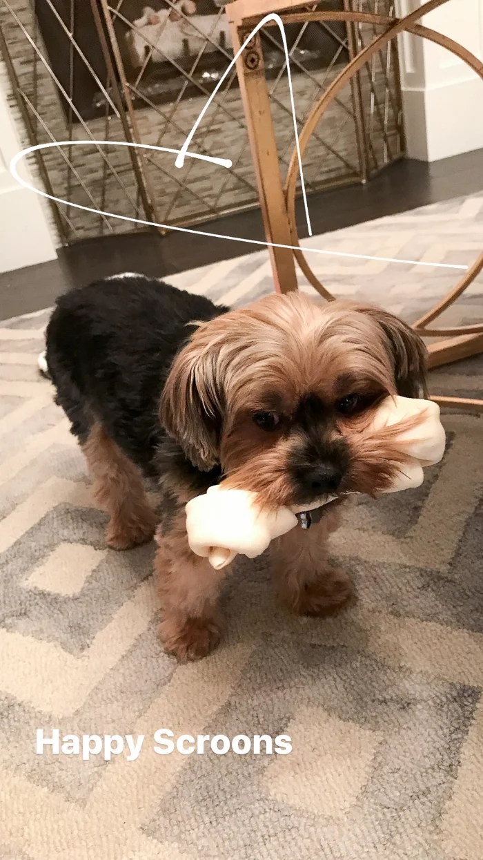 Live Love Blank Recap of 2017 as a Family