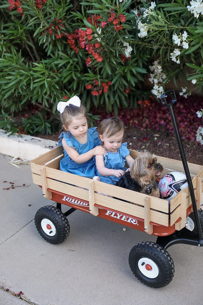 Liveloveblank.com Favorite Baby On The Go Gear with eBay.com