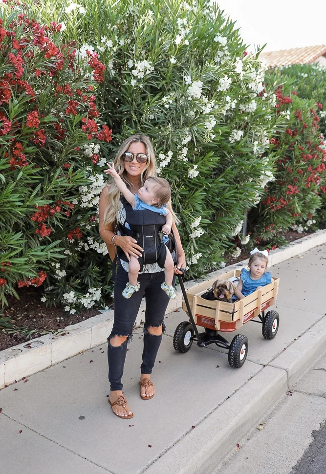 Liveloveblank.com Favorite Baby On The Go Gear with eBay.com