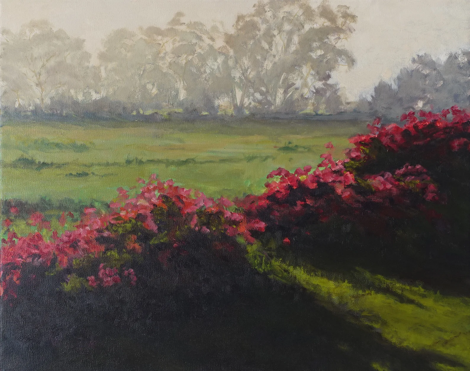 Bougainvillea, 16 x 20 inches