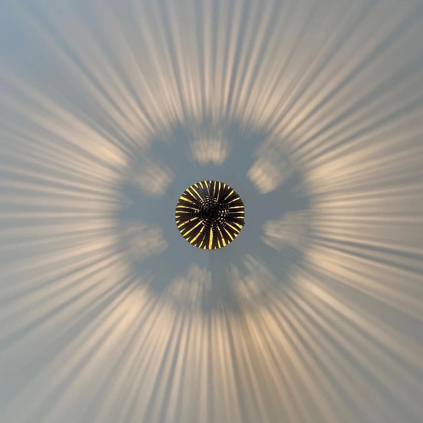 81A38362-5BE3-4BA0-9293-8EE8381B74B4