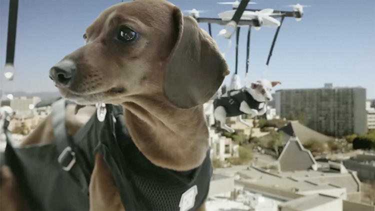 The strategic insight: out with Sarah McLachlan, in with the drones. It all began with a viral Facebook video for SameDayPups.com, a new startup that would deliver the adorable puppy of your choice to your door with a drone on the very day of your purchase. Real paid media drove prospective puppy buyers to the site, as well.