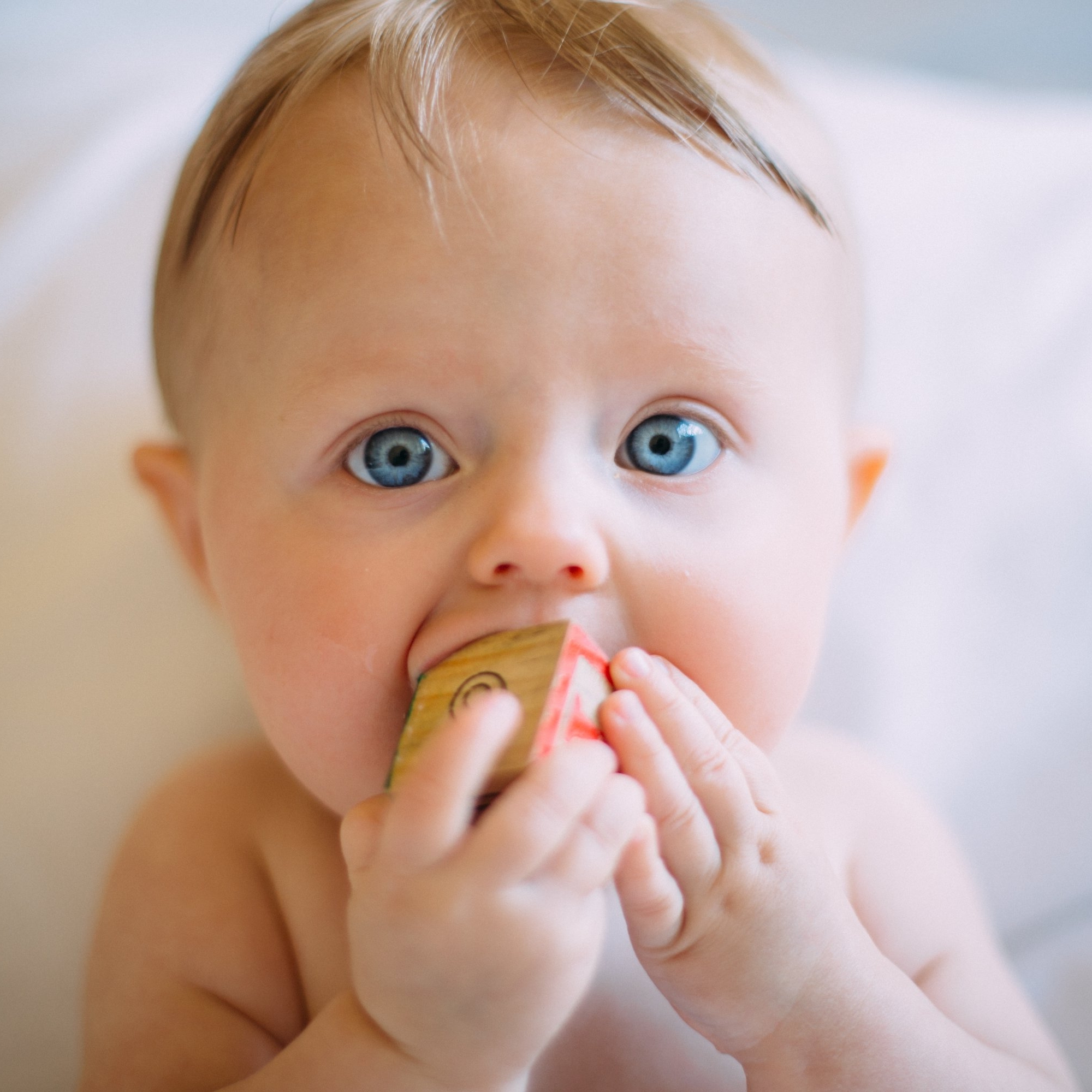 Infant eating block.jpg