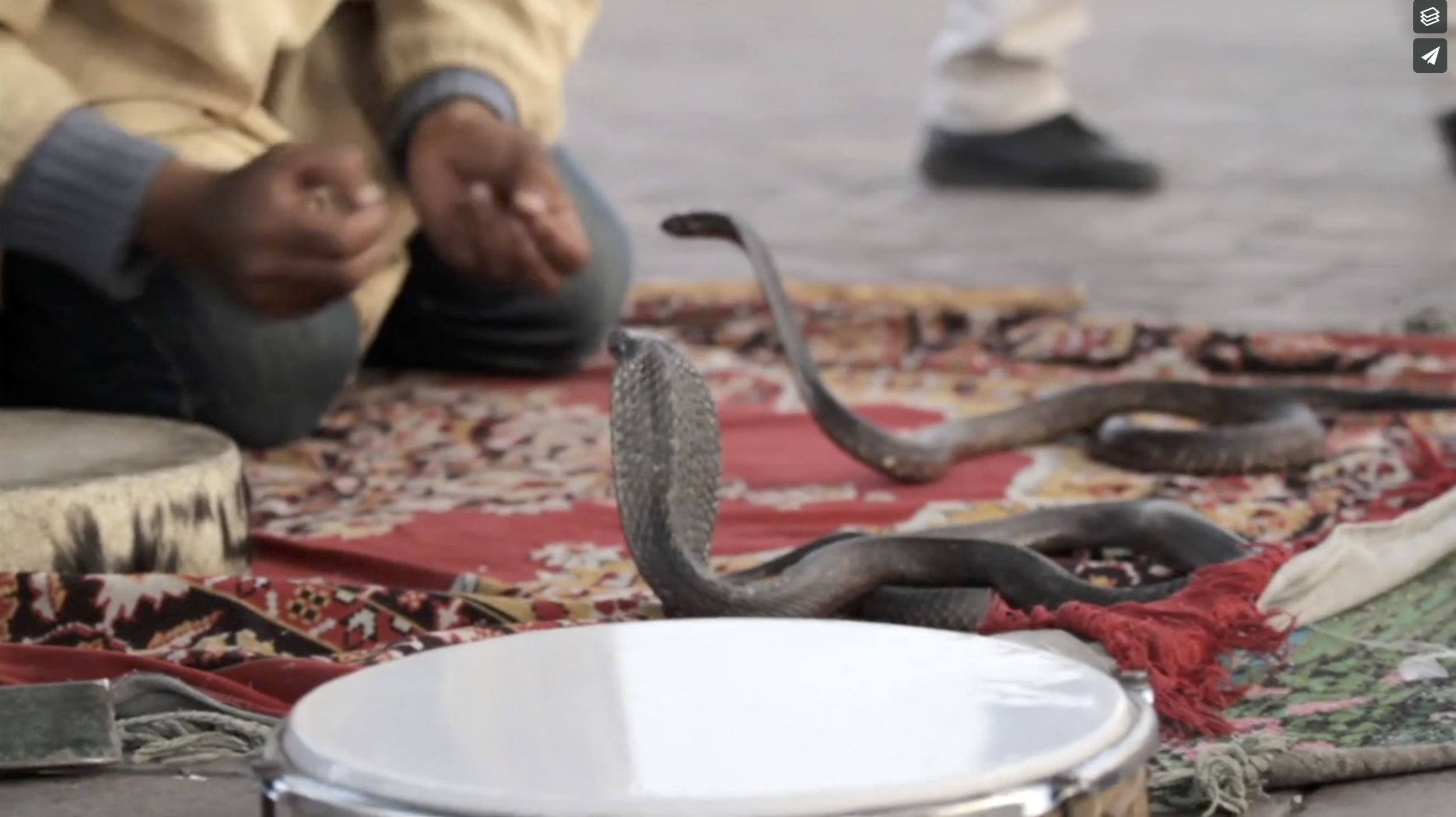 On location for Skiing the Seven Continents, Unofficial Networks. Marrakech , Morocco 2012