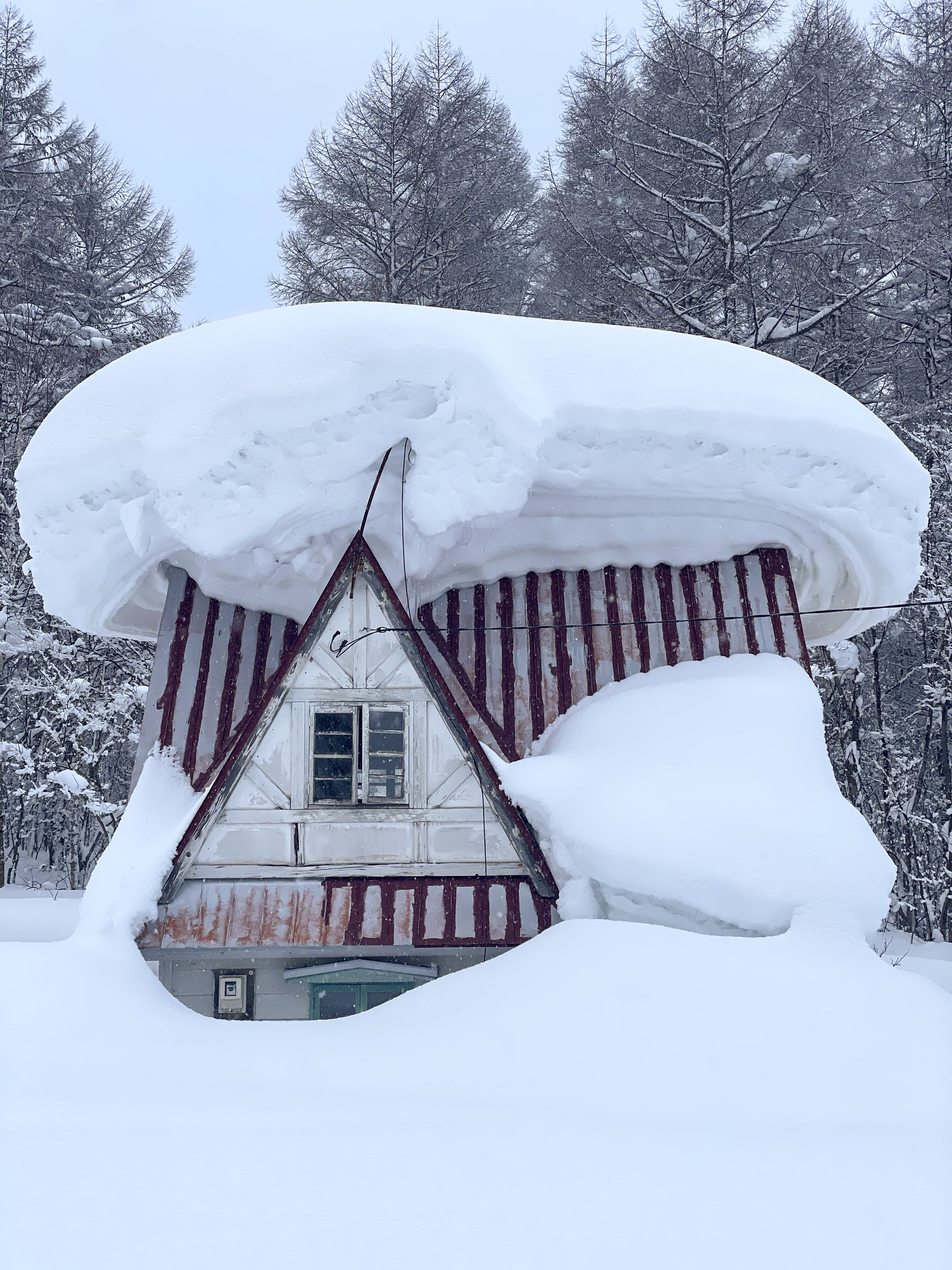 On location shooting in Hokkaido, Japan for Niseko Tourism. Feb 2023