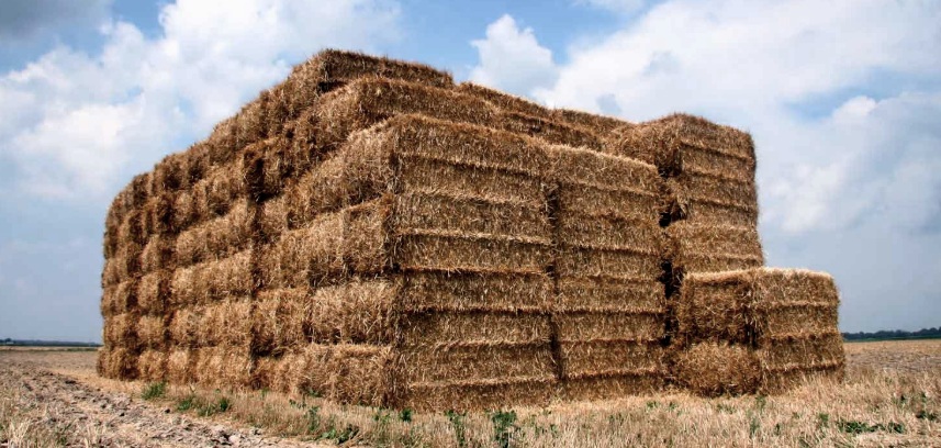 Straw Bale