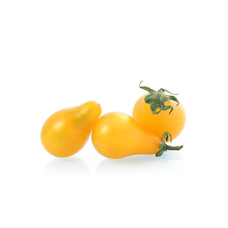 Yellow Pear Tomato.jpg