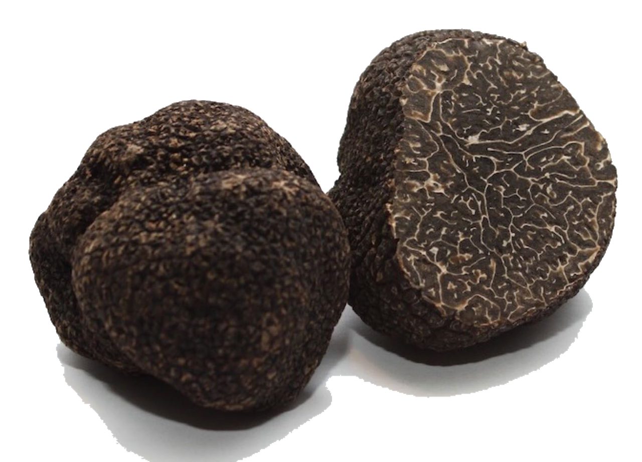 Fresh black truffle.jpg