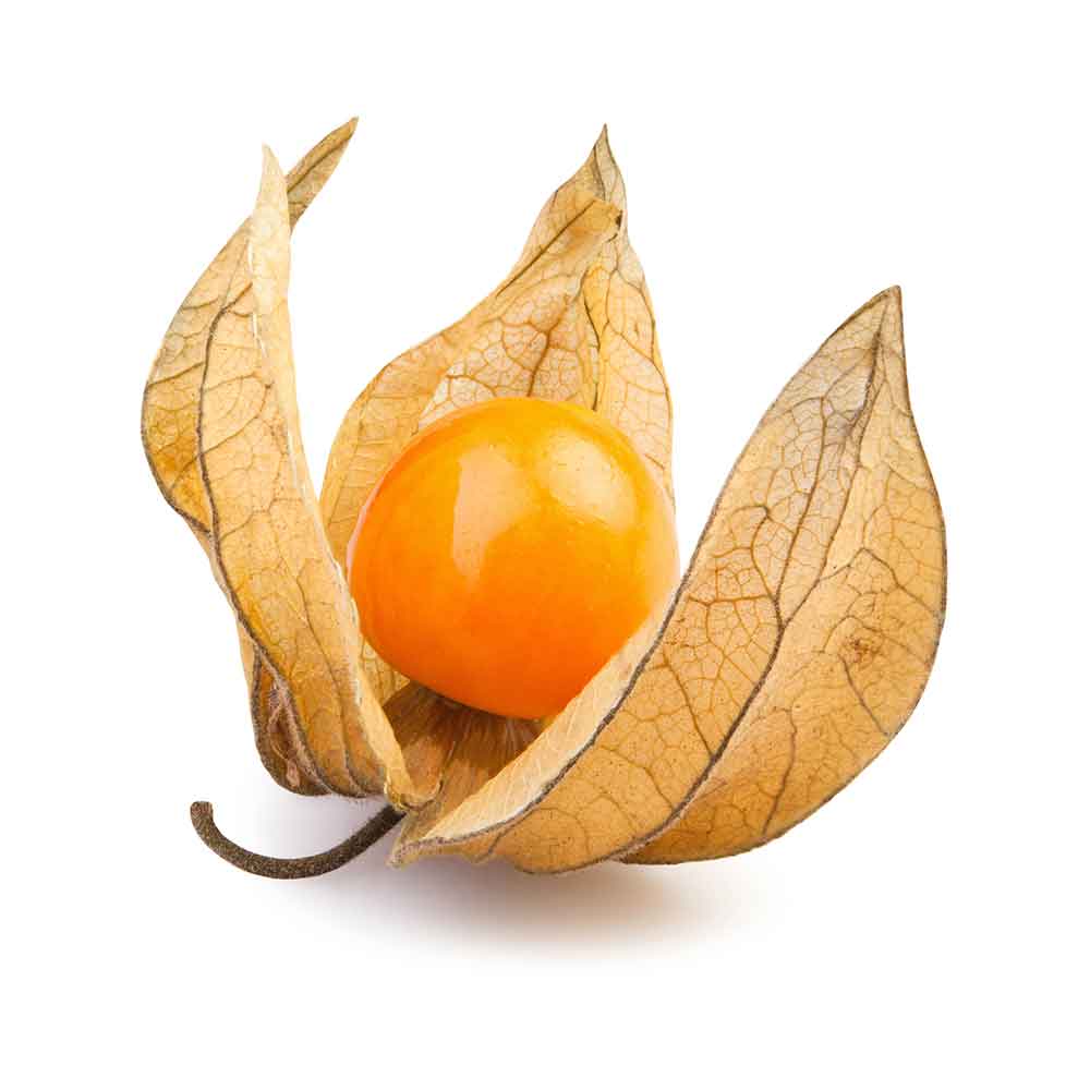 Physalis_Gooseberry.jpg