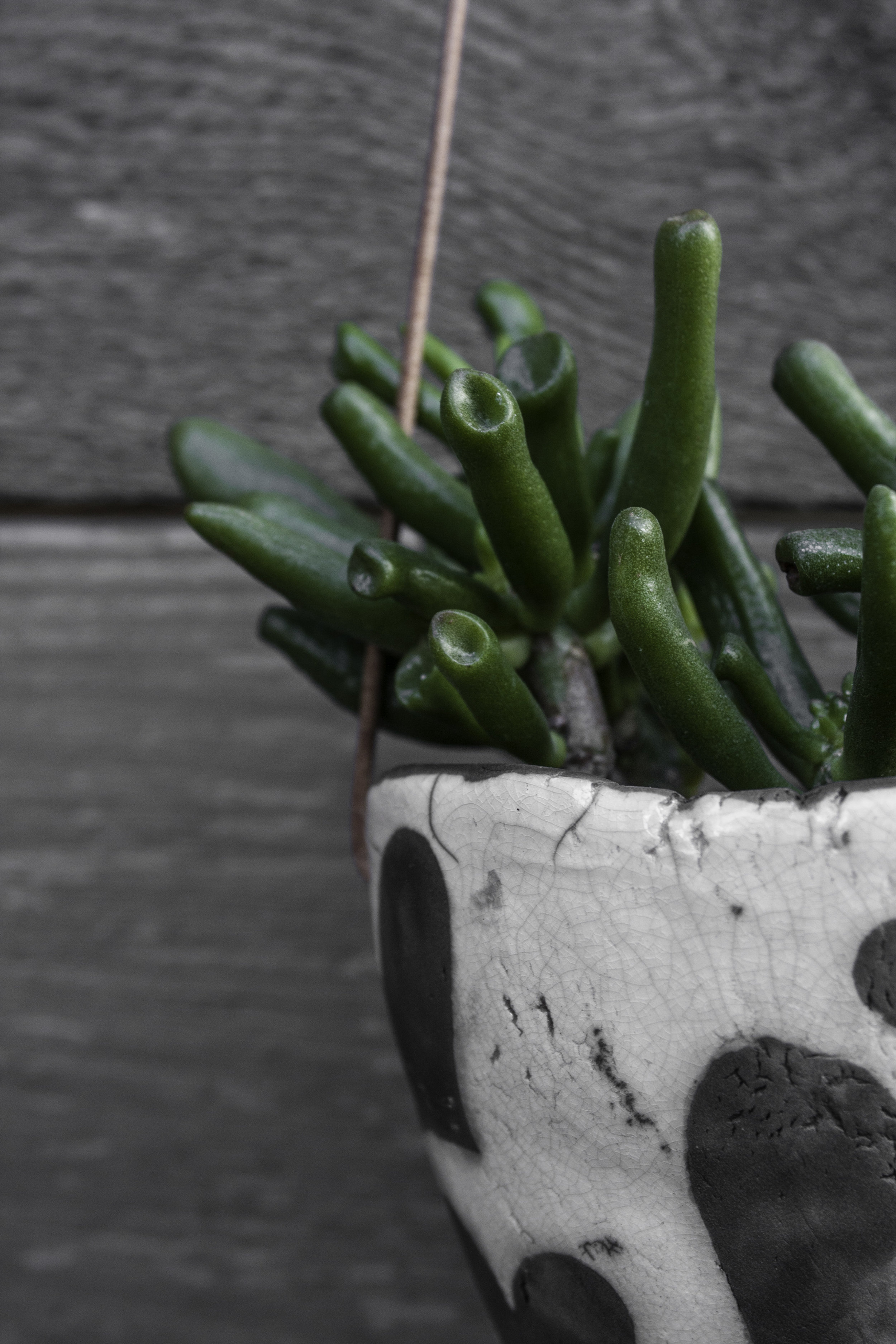 Etsy7281.jpg