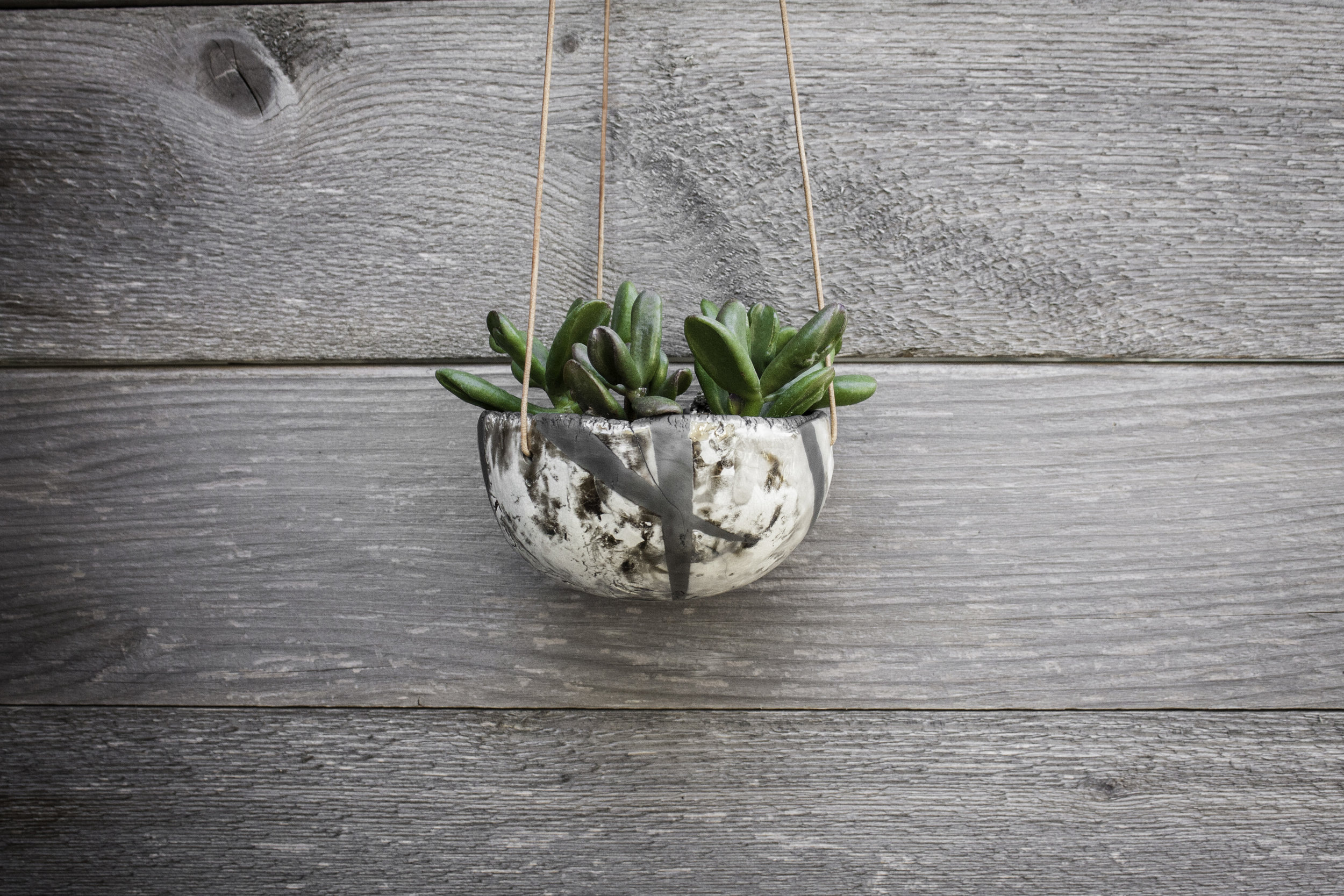Etsy7180.jpg