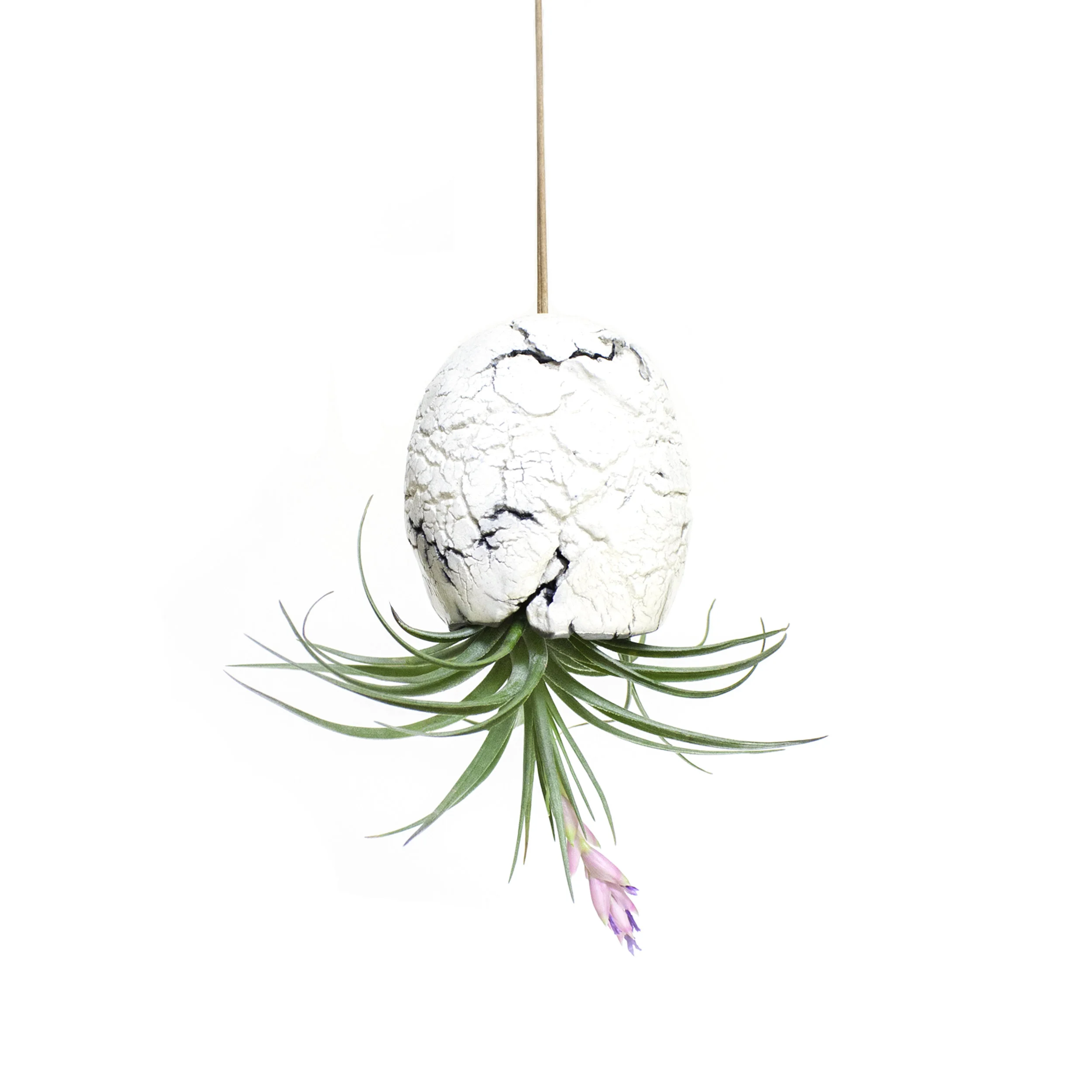 Etsy8336.jpg