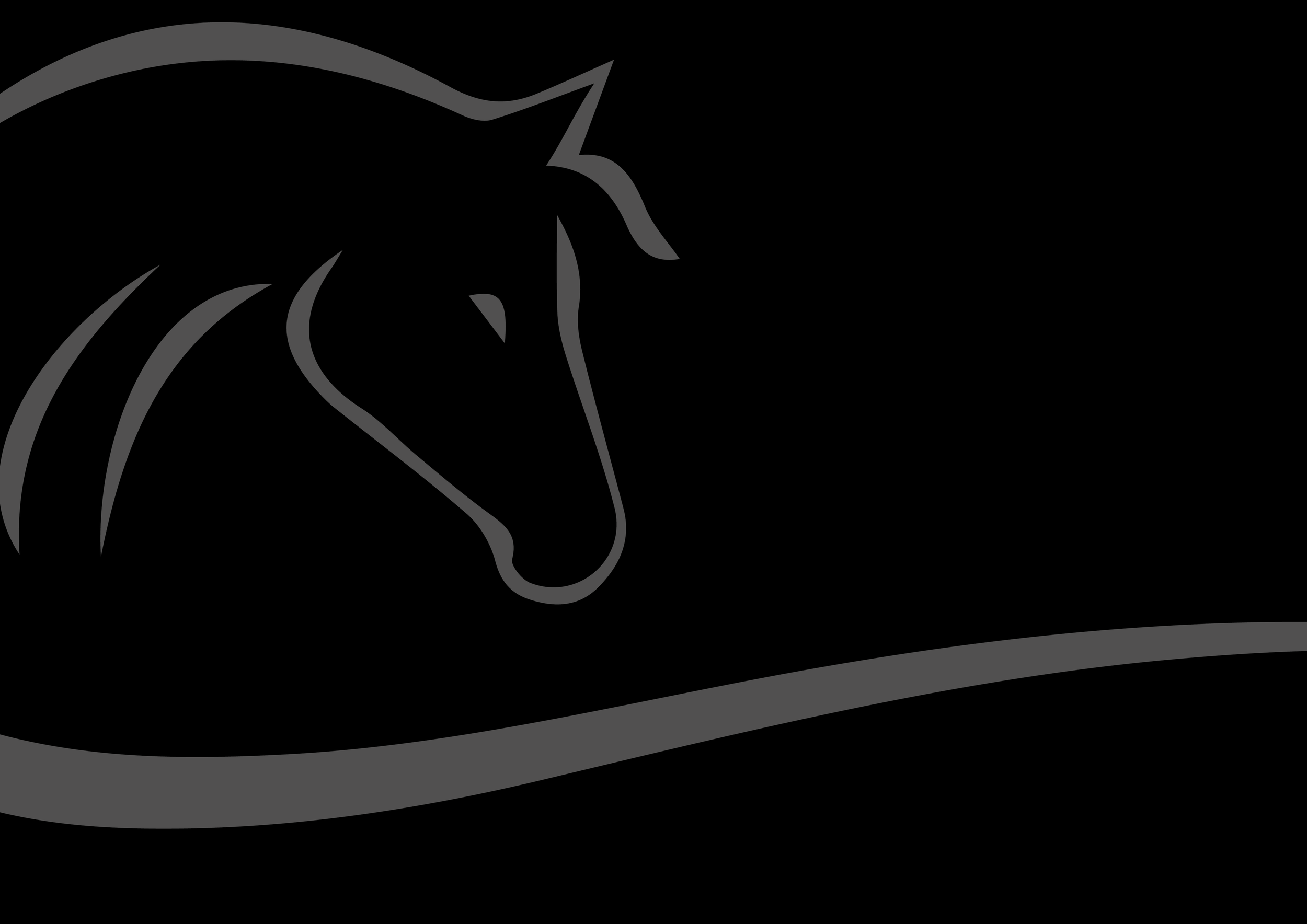 WEBSITE BACKGROUND-02-01-01-01.png