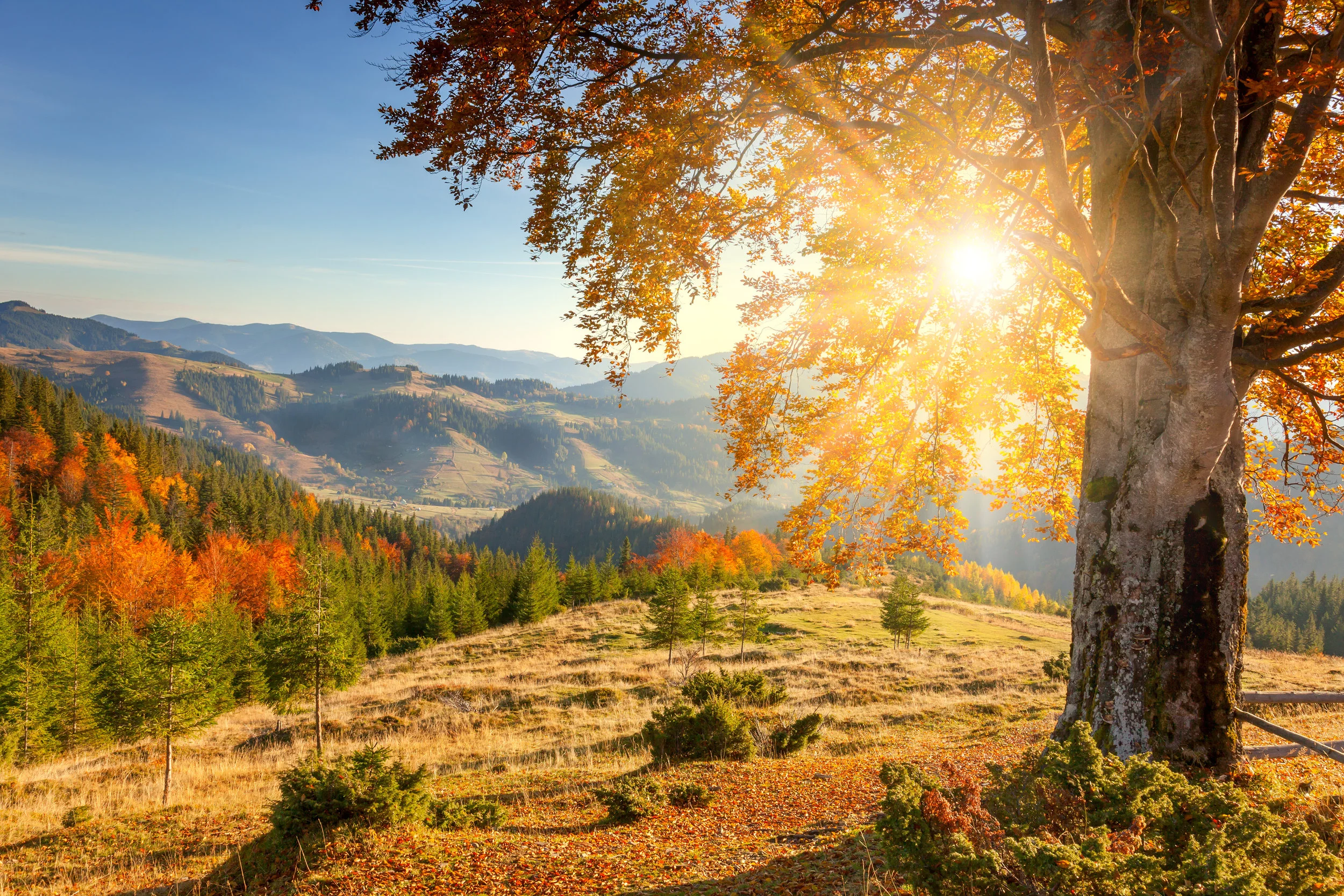 AdobeStock_91307655.jpeg