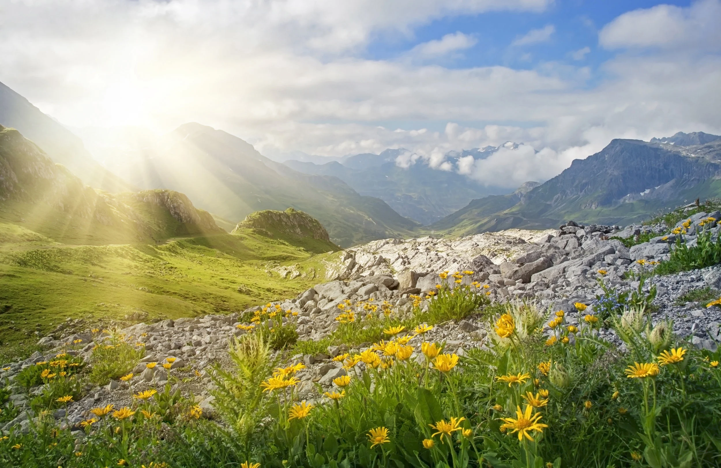 AdobeStock_55151531.jpeg