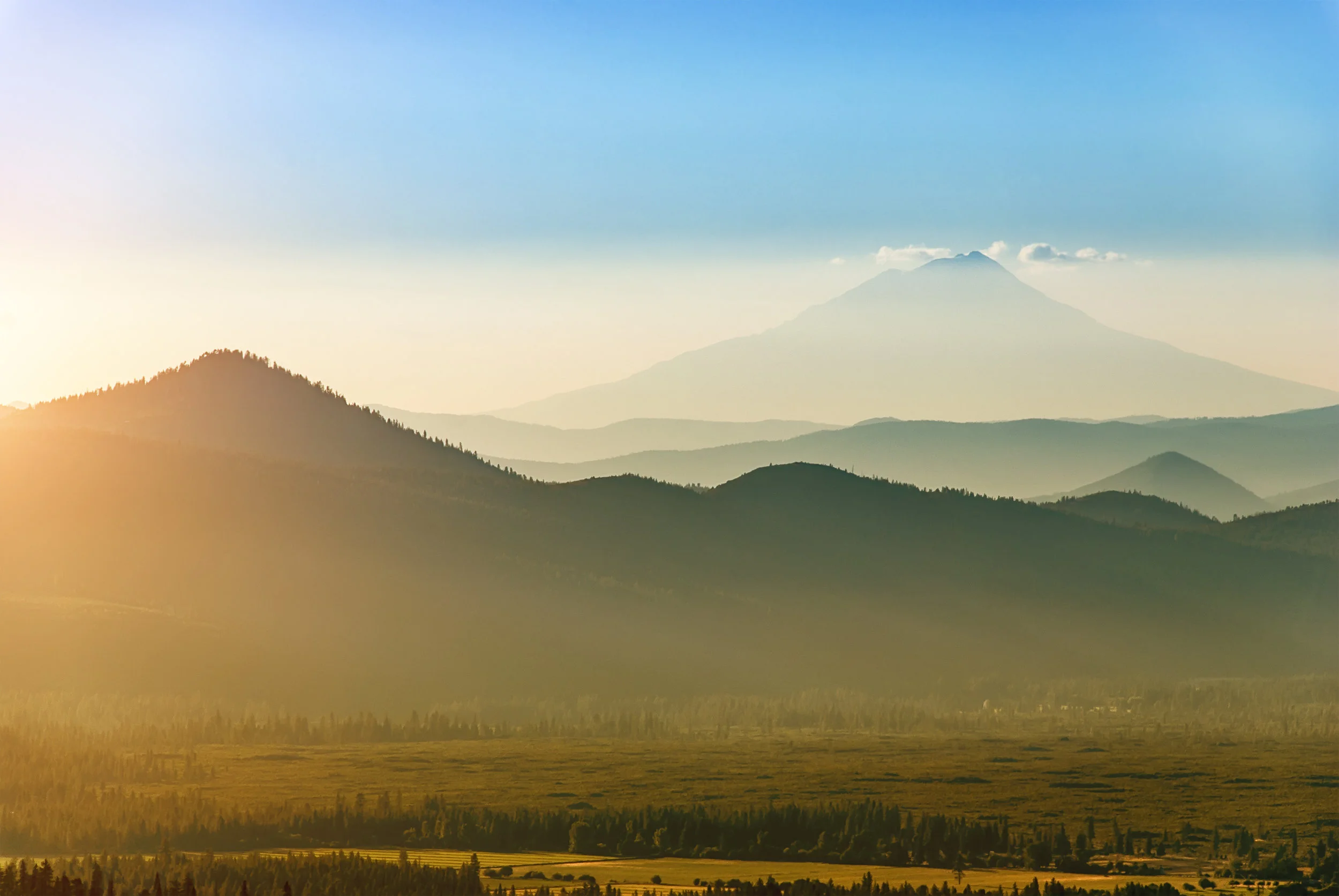 AdobeStock_107822393.jpeg