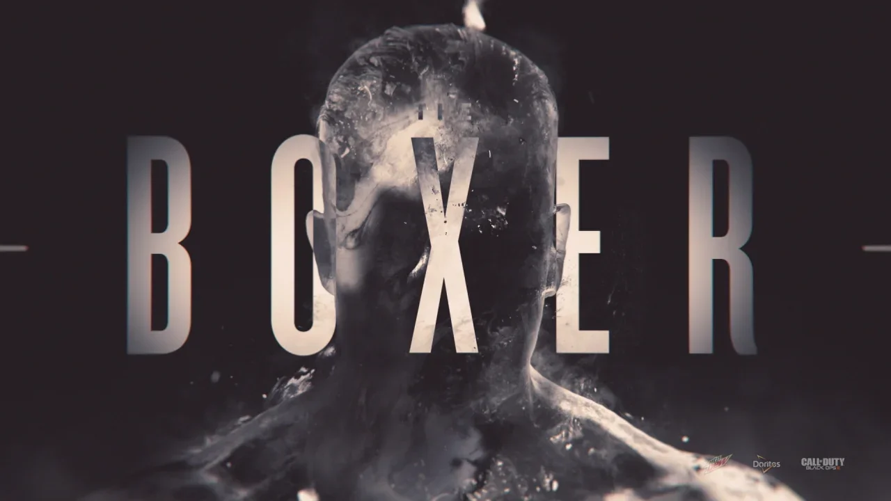 Boxer_3.webp