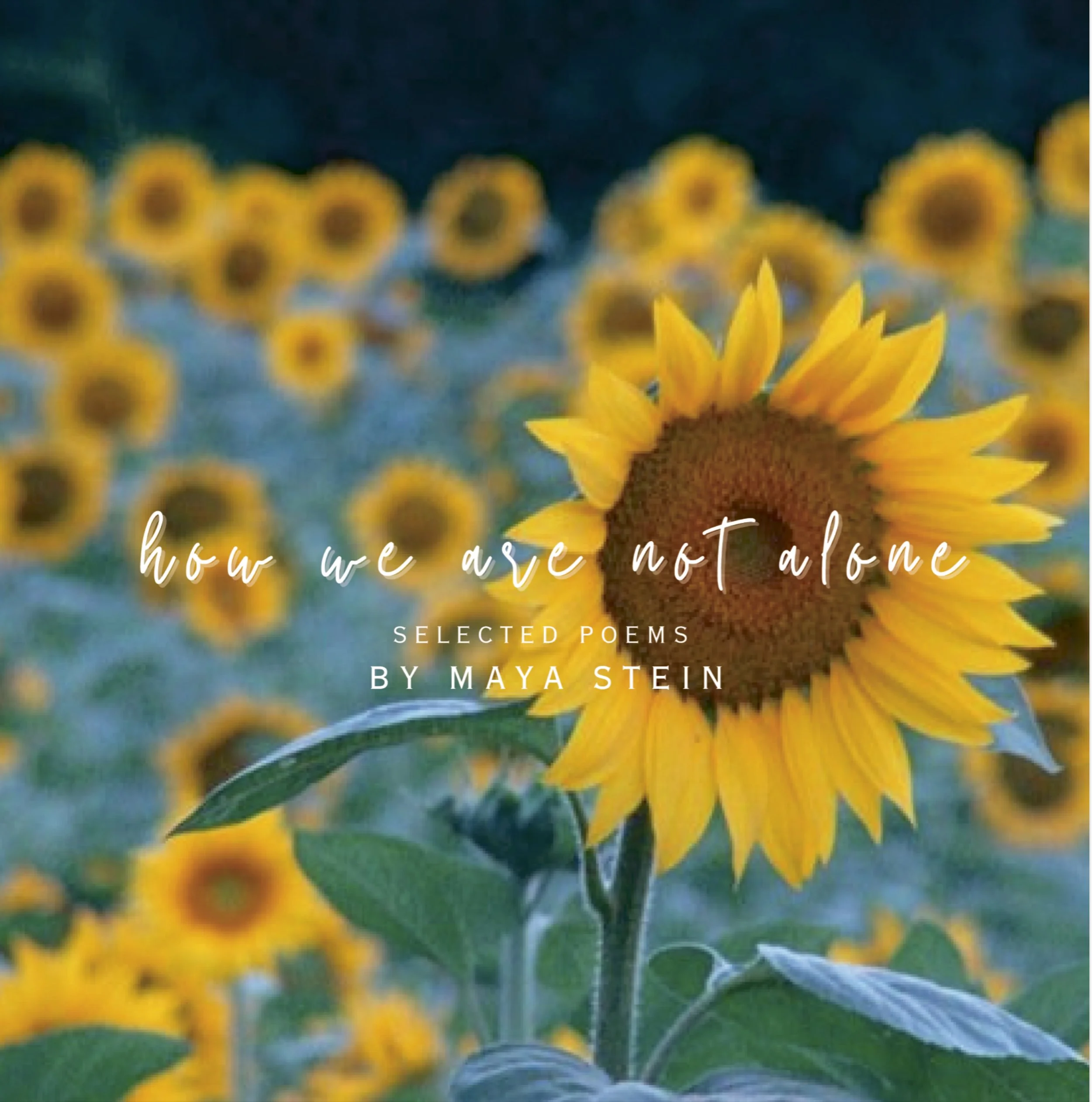 How We Are Not Alone - new and selected poems (print edition)