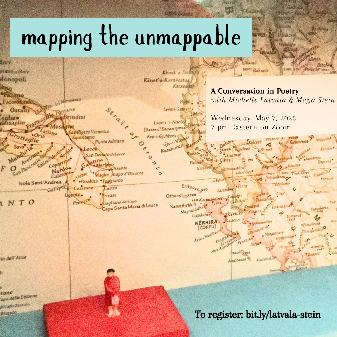 Copy of mapping the unmappable.png