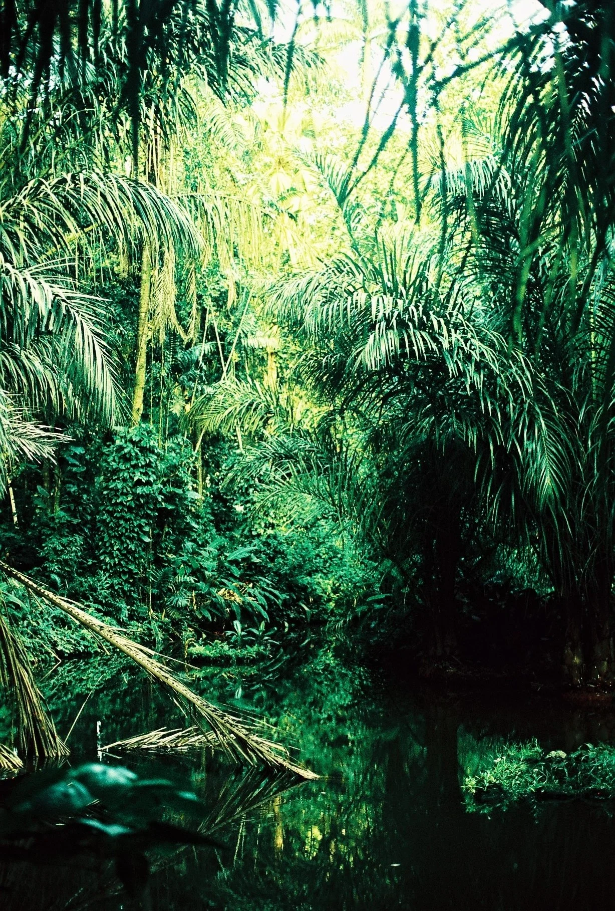 a natureza das pequenas coisas 