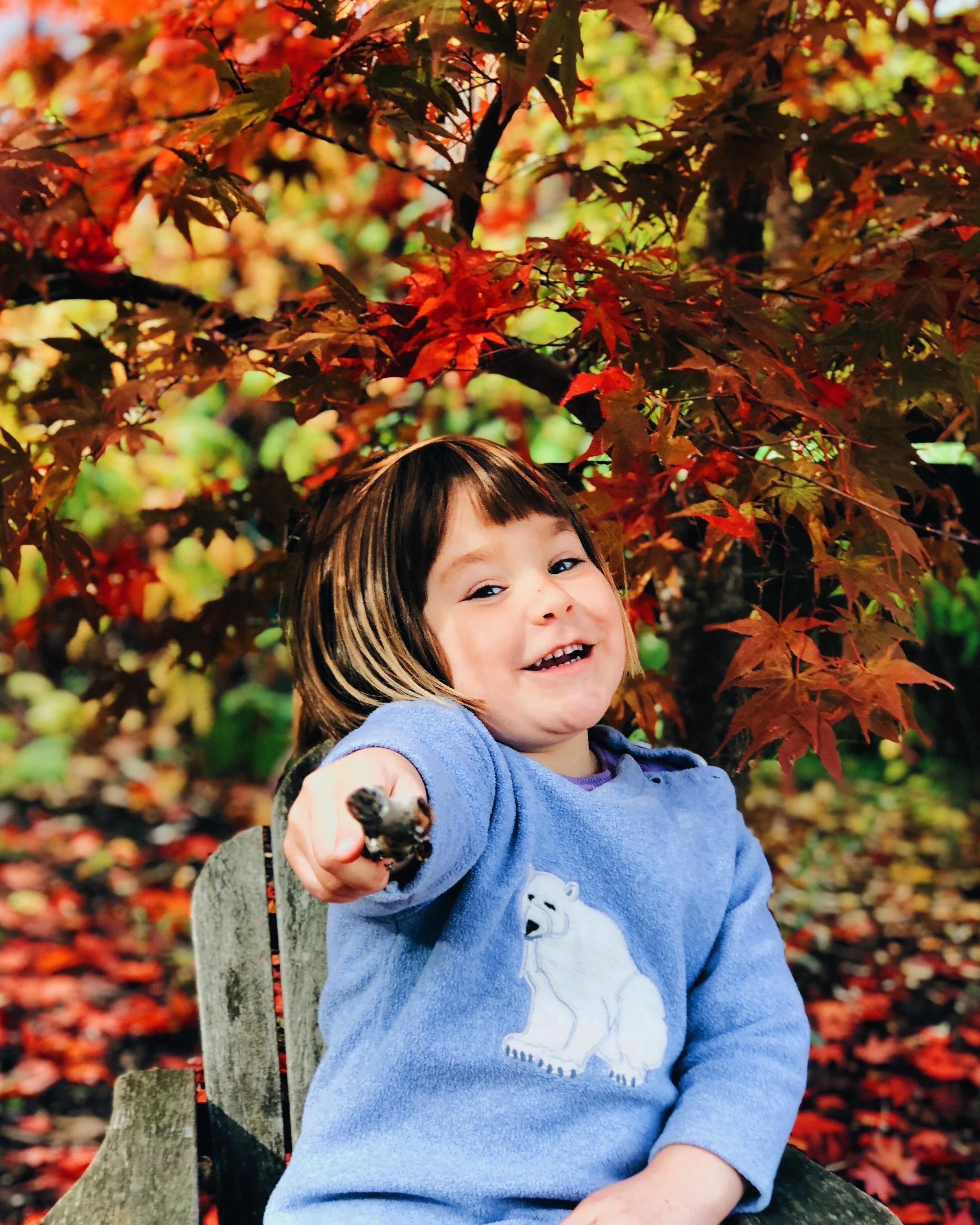 Fall in Forest Grove