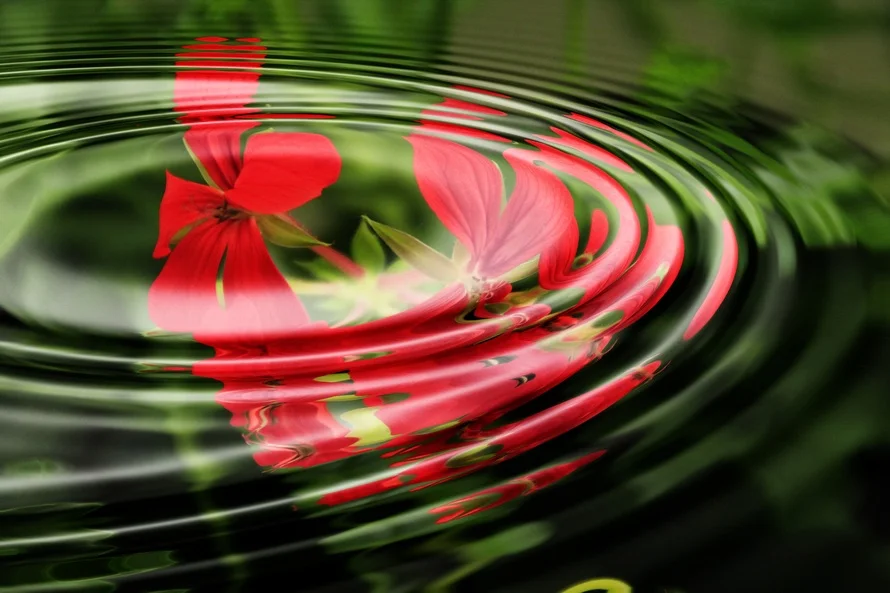 geranium-wave-water-rings-55813-large.jpeg
