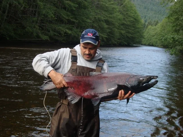 salmon.jpg