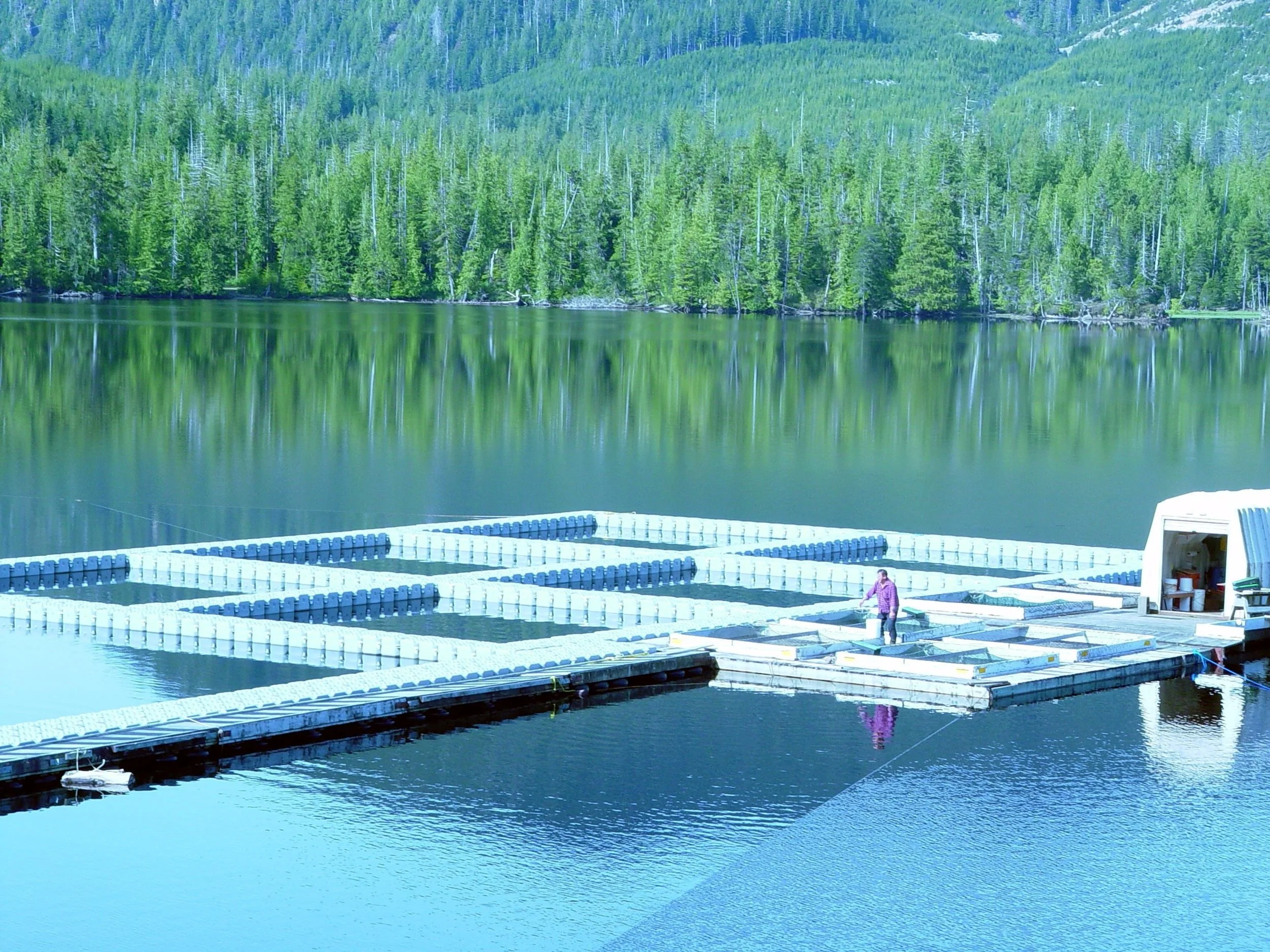 fish farm.jpg