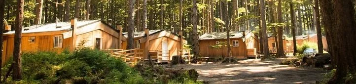 cabins.jpg
