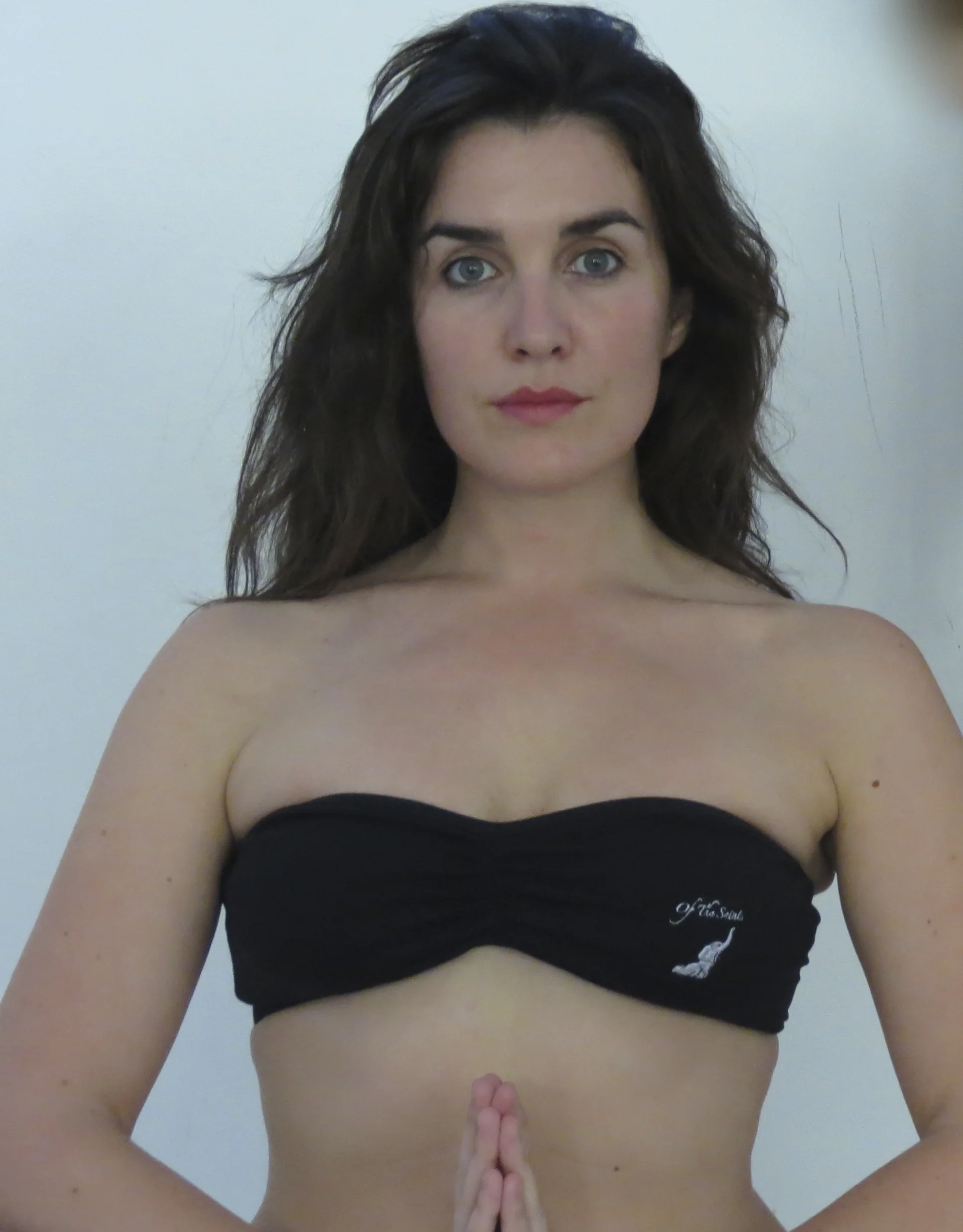boobtrapbandeau.jpg