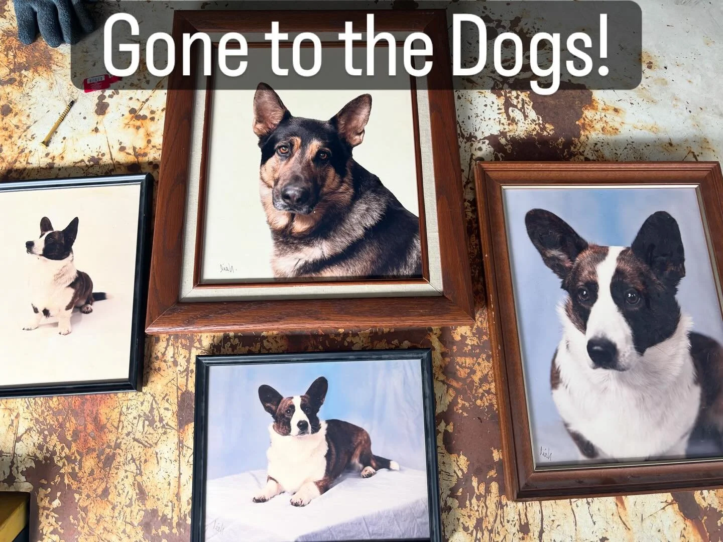 But we are open this Saturday and Sunday!  February 28th and March 1st!  Both days 12-5!
#gonetothedogs @brewerytown_paperboy #modemodernephilly #openthisweekend #brewerytownphilly