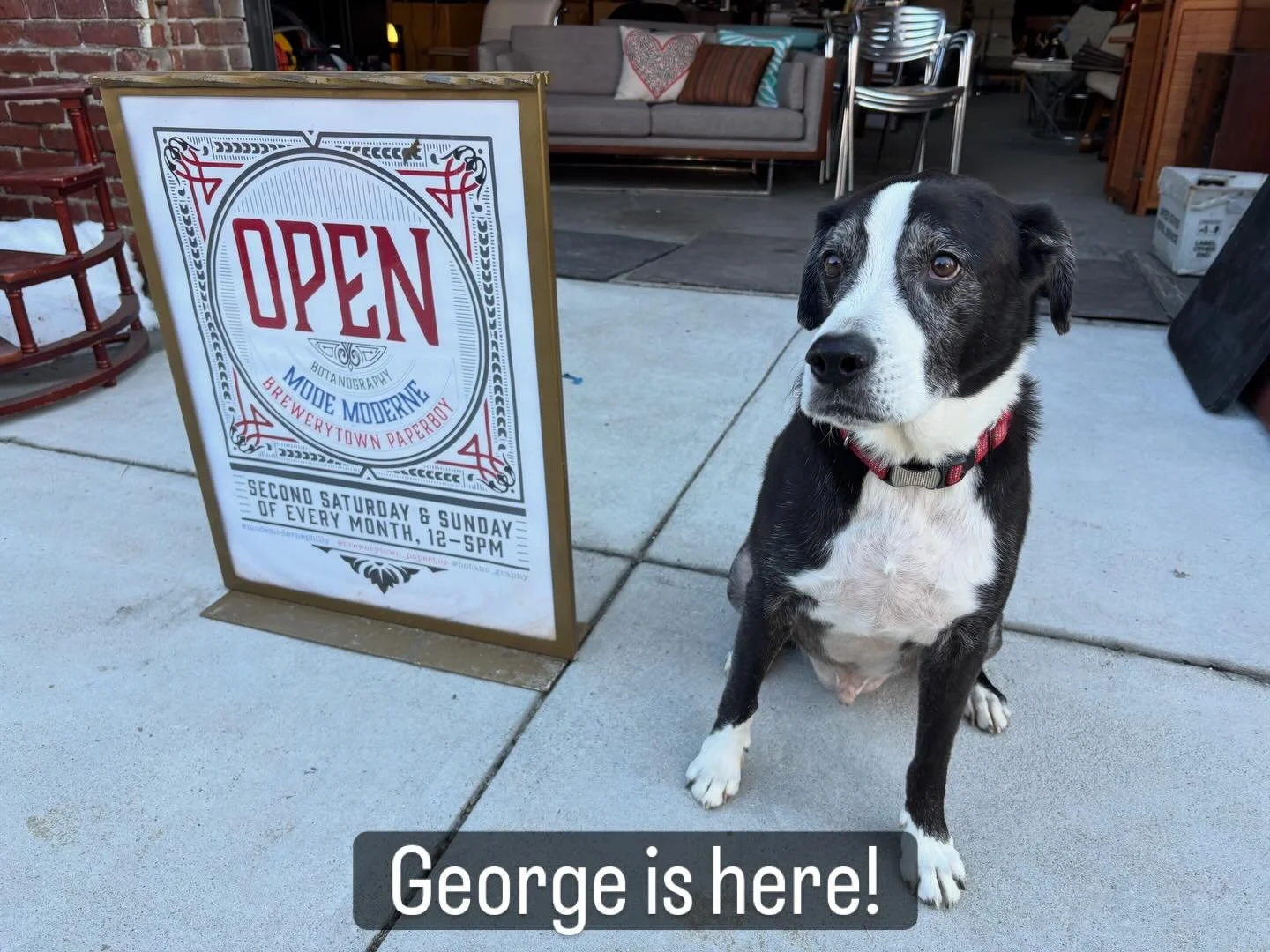 Open today 12-5! @brewerytown_paperboy #modemodernephilly #open