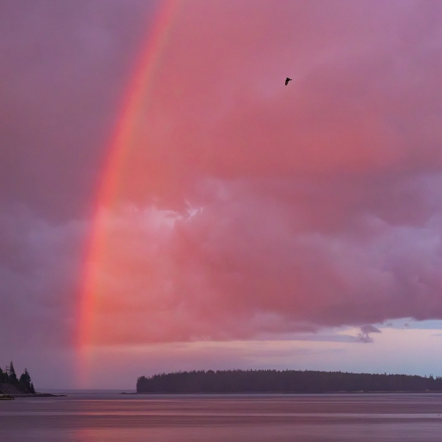 ‘grand revolve’ is out now! Available on all streaming platforms!
‘grand revolve’ is a song created to inspire a capacious sense of love and belonging. 
May this music be of service to your healing & tend to the ligh